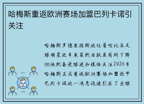 哈梅斯重返欧洲赛场加盟巴列卡诺引关注 哈梅斯重返欧洲赛场加盟巴列卡诺引关注